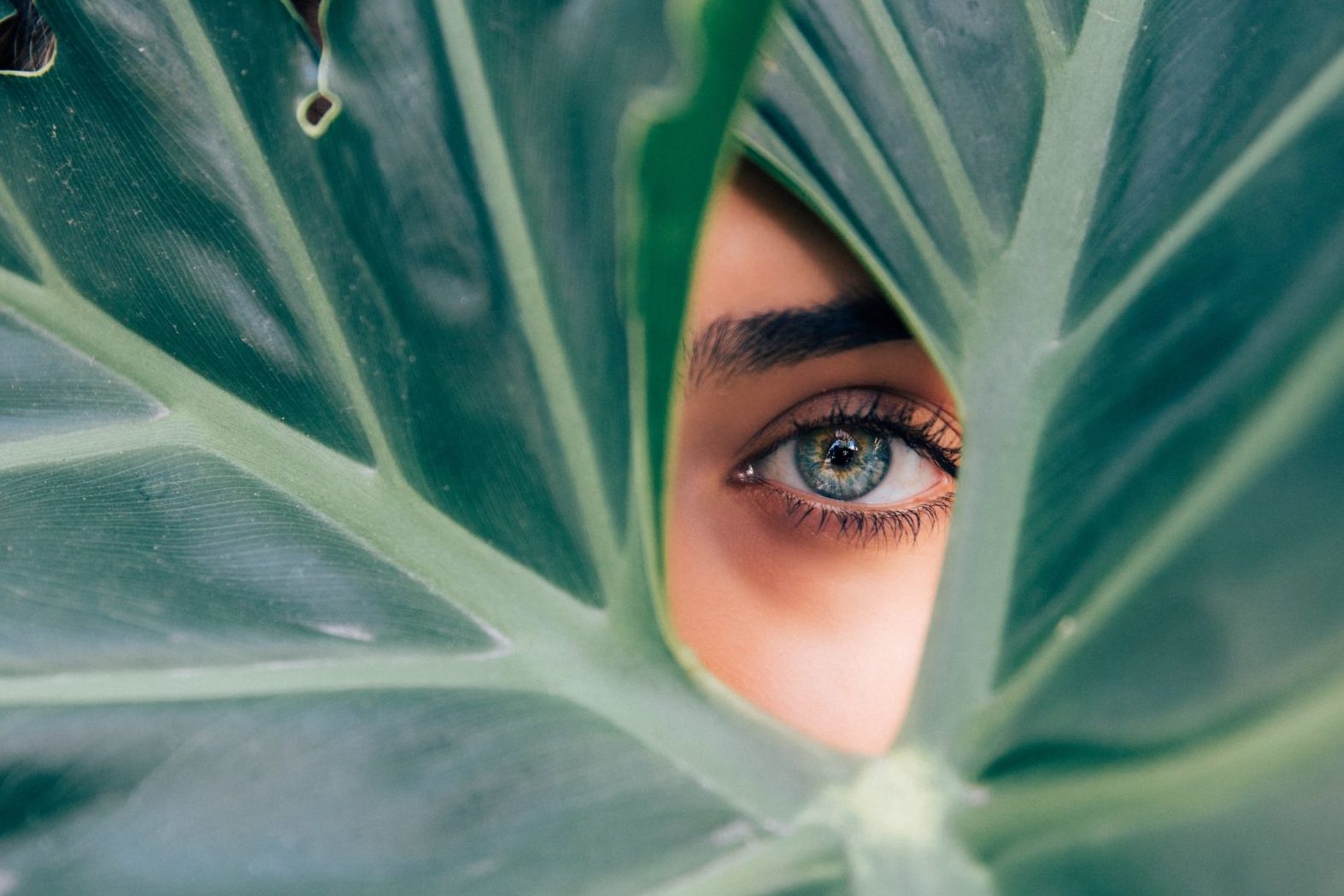 A woman's eye looking through a hole in a giant leaf